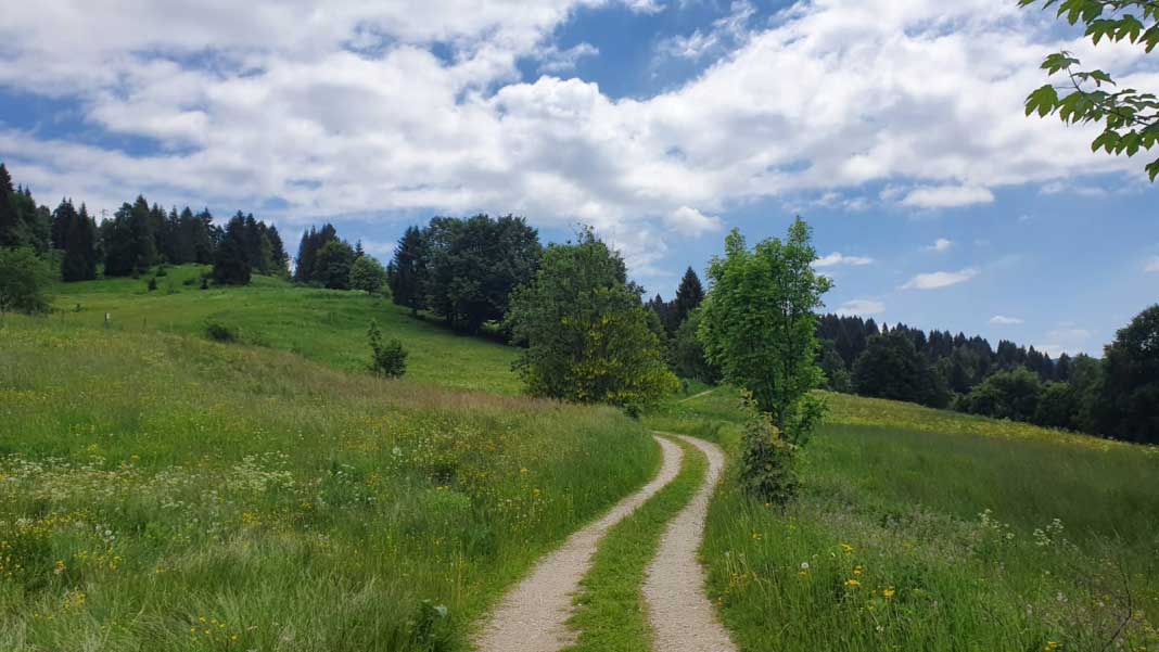 Manifestazioni Altopiano di Asiago 7 Comuni – Luglio 2026