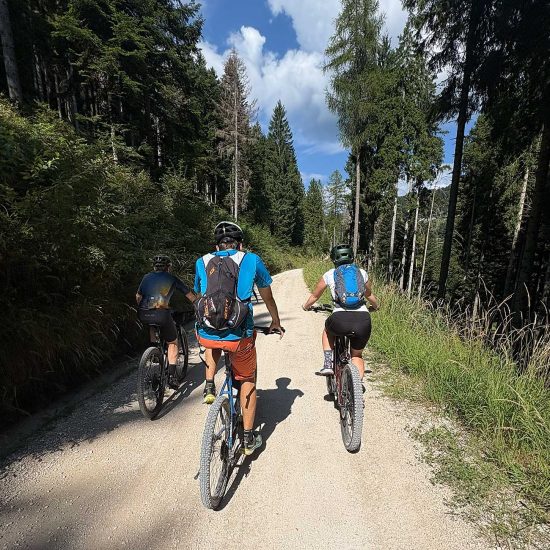 Bici - Mtb